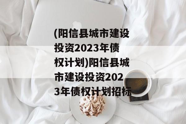 (阳信县城市建设投资2023年债权计划)阳信县城市建设投资2023年债权计划招标