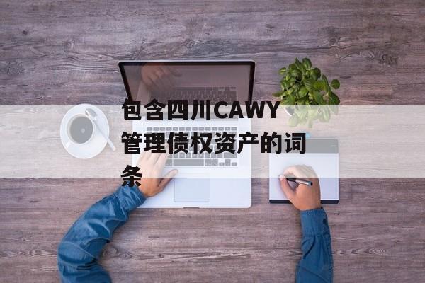 包含四川CAWY管理债权资产的词条