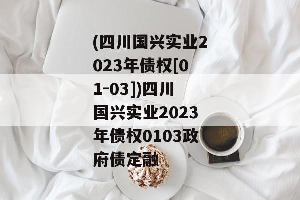 (四川国兴实业2023年债权[01-03])四川国兴实业2023年债权0103政府债定融