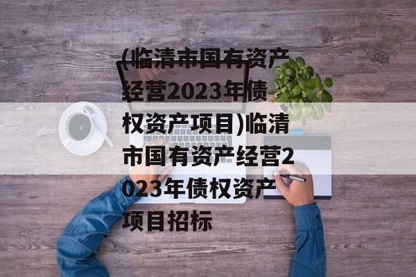 (临清市国有资产经营2023年债权资产项目)临清市国有资产经营2023年债权资产项目招标