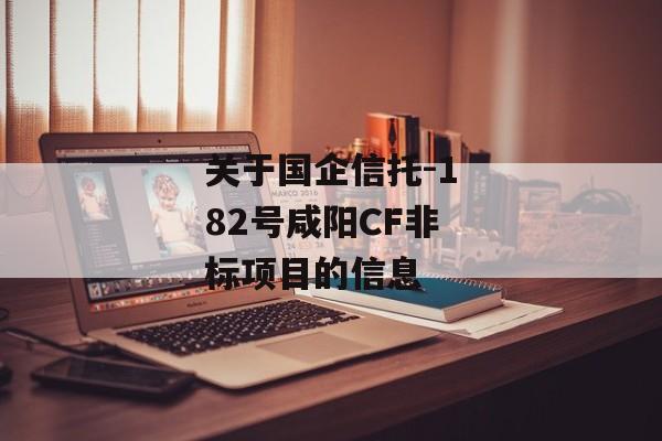 关于国企信托-182号咸阳CF非标项目的信息