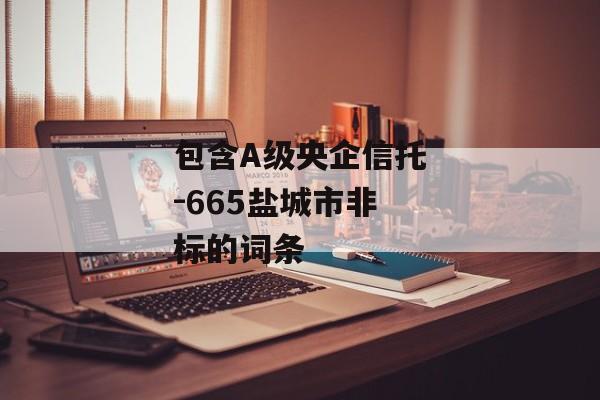 包含A级央企信托-665盐城市非标的词条