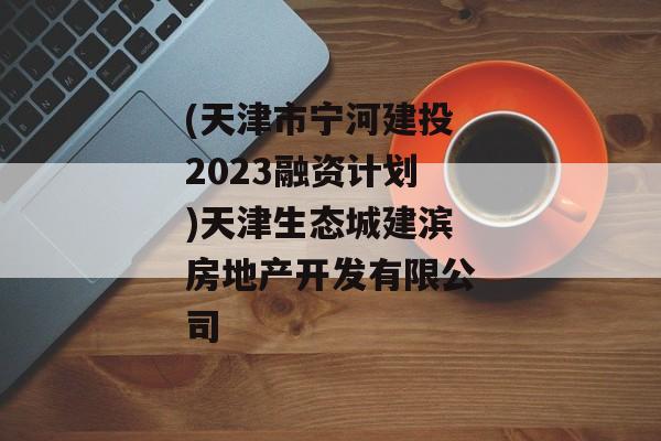 (天津市宁河建投2023融资计划)天津生态城建滨房地产开发有限公司