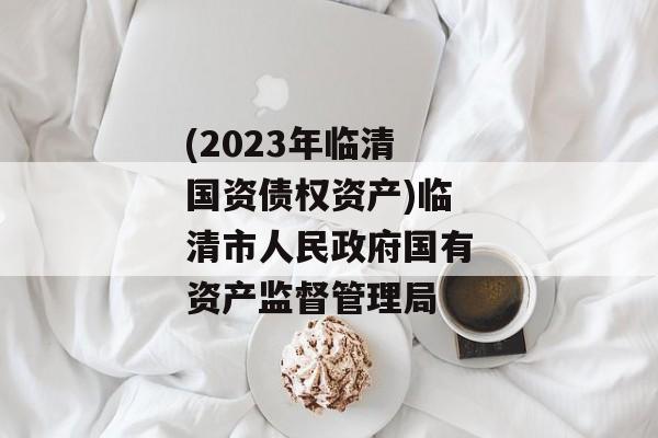 (2023年临清国资债权资产)临清市人民政府国有资产监督管理局