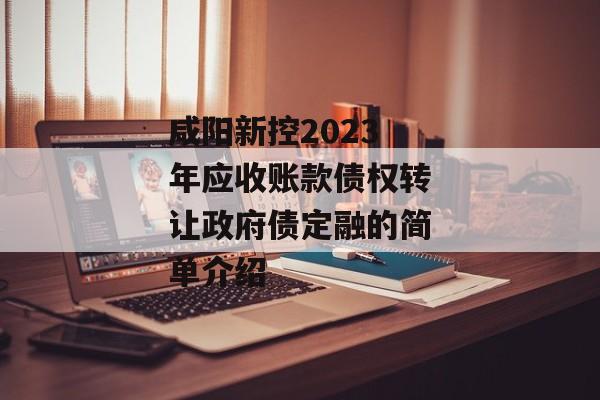 咸阳新控2023年应收账款债权转让政府债定融的简单介绍