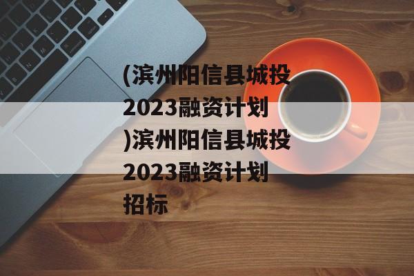 (滨州阳信县城投2023融资计划)滨州阳信县城投2023融资计划招标