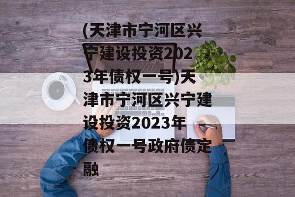 (天津市宁河区兴宁建设投资2023年债权一号)天津市宁河区兴宁建设投资2023年债权一号政府债定融