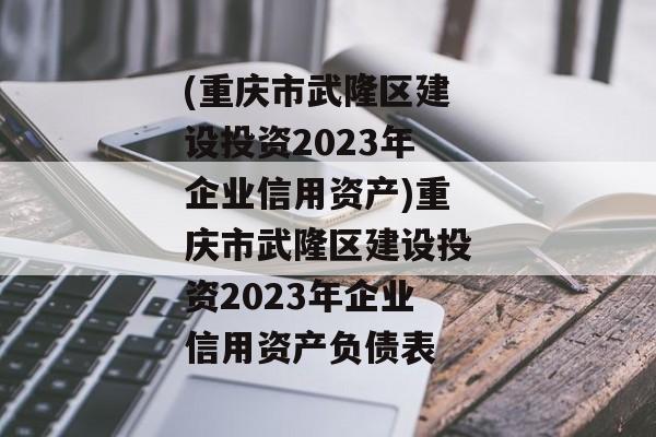 (重庆市武隆区建设投资2023年企业信用资产)重庆市武隆区建设投资2023年企业信用资产负债表