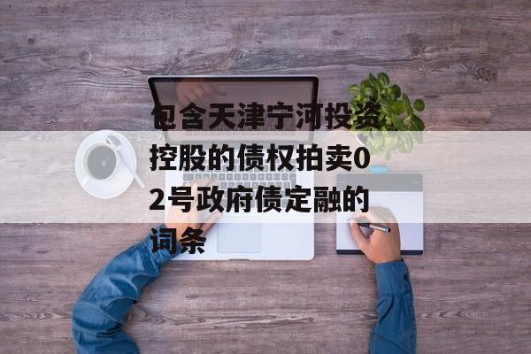 包含天津宁河投资控股的债权拍卖02号政府债定融的词条