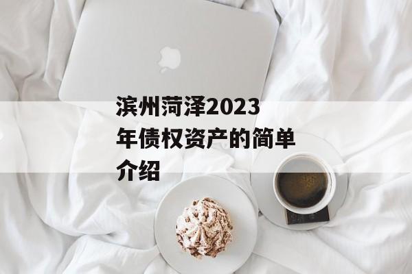 滨州菏泽2023年债权资产的简单介绍