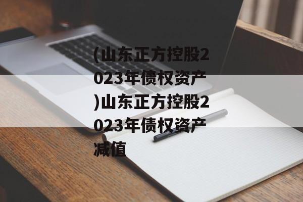 (山东正方控股2023年债权资产)山东正方控股2023年债权资产减值