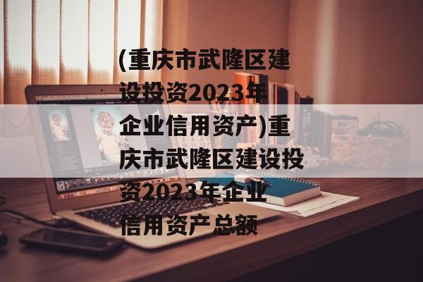 (重庆市武隆区建设投资2023年企业信用资产)重庆市武隆区建设投资2023年企业信用资产总额