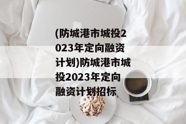 (防城港市城投2023年定向融资计划)防城港市城投2023年定向融资计划招标