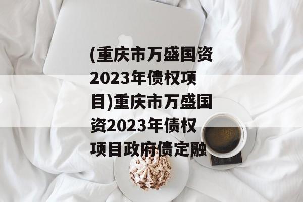 (重庆市万盛国资2023年债权项目)重庆市万盛国资2023年债权项目政府债定融