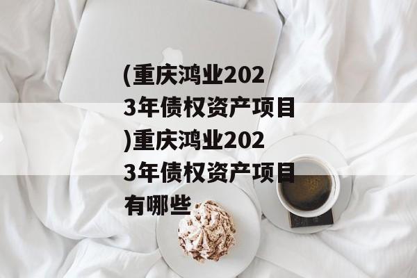 (重庆鸿业2023年债权资产项目)重庆鸿业2023年债权资产项目有哪些