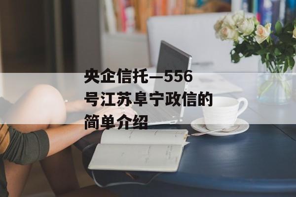 央企信托—556号江苏阜宁政信的简单介绍