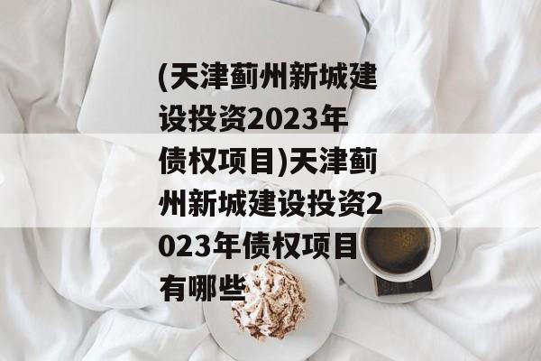 (天津蓟州新城建设投资2023年债权项目)天津蓟州新城建设投资2023年债权项目有哪些