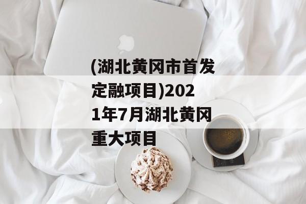 (湖北黄冈市首发定融项目)2021年7月湖北黄冈重大项目