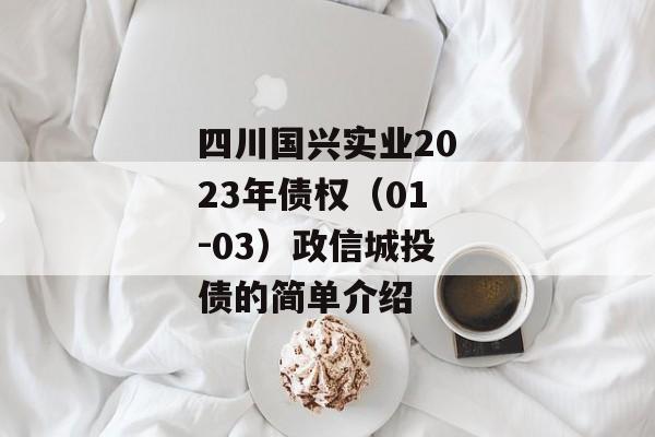 四川国兴实业2023年债权（01-03）政信城投债的简单介绍