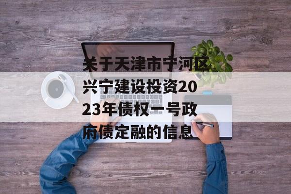 关于天津市宁河区兴宁建设投资2023年债权一号政府债定融的信息