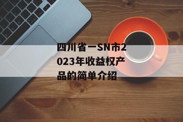 四川省一SN市2023年收益权产品的简单介绍