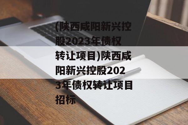 (陕西咸阳新兴控股2023年债权转让项目)陕西咸阳新兴控股2023年债权转让项目招标