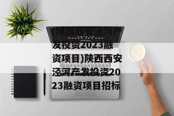 (陕西西安泾河产发投资2023融资项目)陕西西安泾河产发投资2023融资项目招标