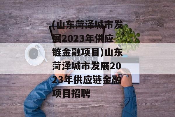 (山东菏泽城市发展2023年供应链金融项目)山东菏泽城市发展2023年供应链金融项目招聘