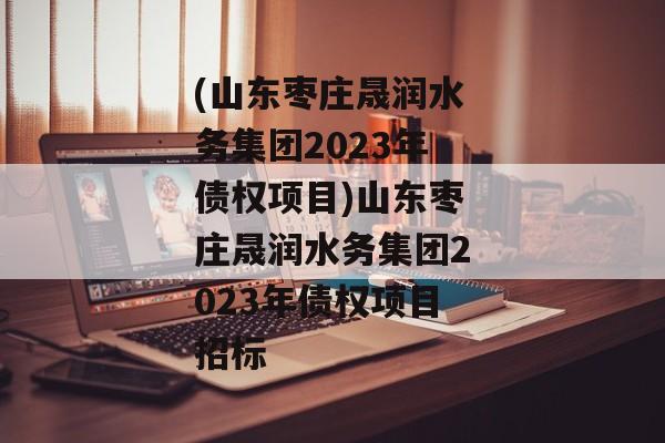 (山东枣庄晟润水务集团2023年债权项目)山东枣庄晟润水务集团2023年债权项目招标