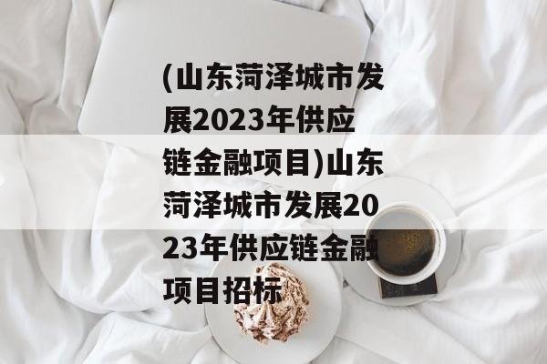 (山东菏泽城市发展2023年供应链金融项目)山东菏泽城市发展2023年供应链金融项目招标