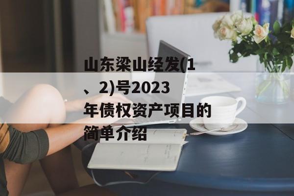 山东梁山经发(1、2)号2023年债权资产项目的简单介绍