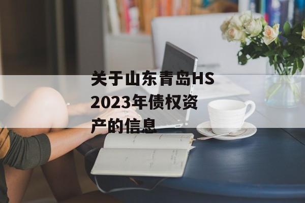 关于山东青岛HS2023年债权资产的信息