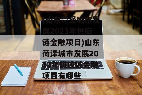 (山东菏泽城市发展2023年供应链金融项目)山东菏泽城市发展2023年供应链金融项目有哪些