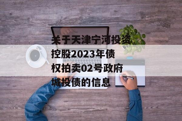 关于天津宁河投资控股2023年债权拍卖02号政府城投债的信息