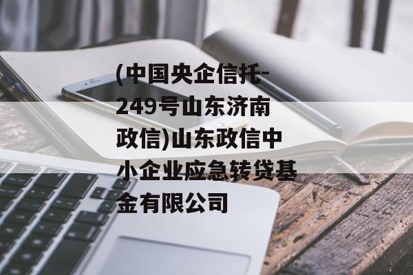 (中国央企信托-249号山东济南政信)山东政信中小企业应急转贷基金有限公司