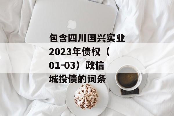 包含四川国兴实业2023年债权（01-03）政信城投债的词条