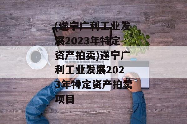 (遂宁广利工业发展2023年特定资产拍卖)遂宁广利工业发展2023年特定资产拍卖项目