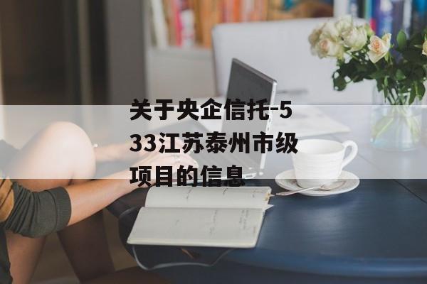 关于央企信托-533江苏泰州市级项目的信息