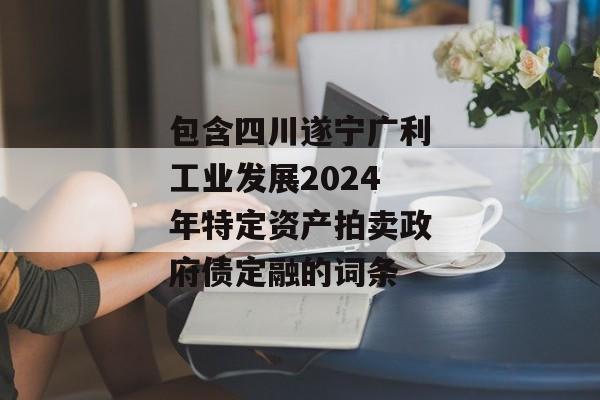 包含四川遂宁广利工业发展2024年特定资产拍卖政府债定融的词条