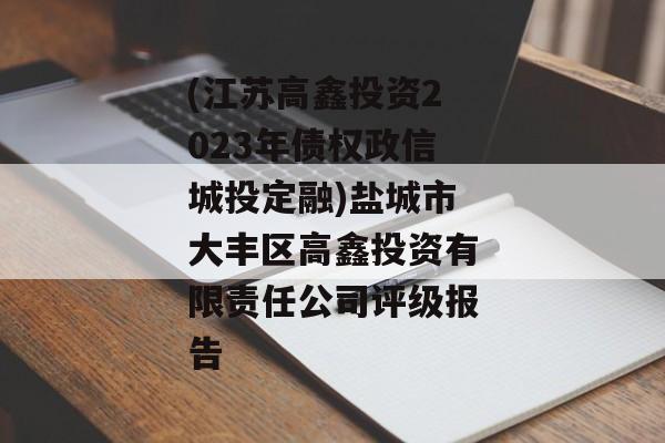 (江苏高鑫投资2023年债权政信城投定融)盐城市大丰区高鑫投资有限责任公司评级报告