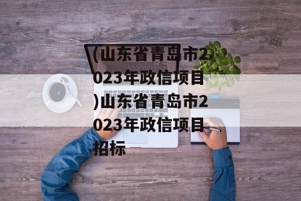 (山东省青岛市2023年政信项目)山东省青岛市2023年政信项目招标