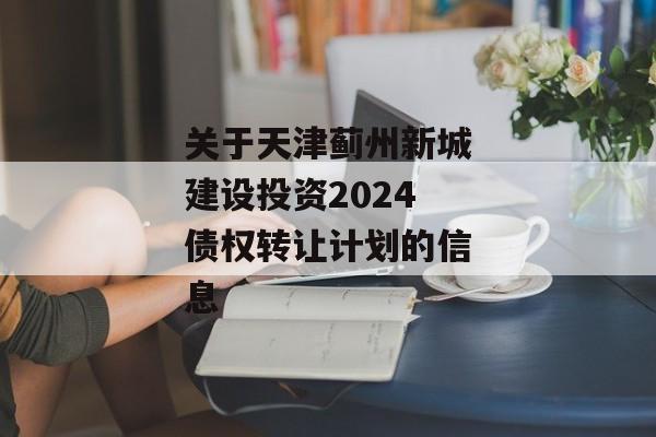 关于天津蓟州新城建设投资2024债权转让计划的信息