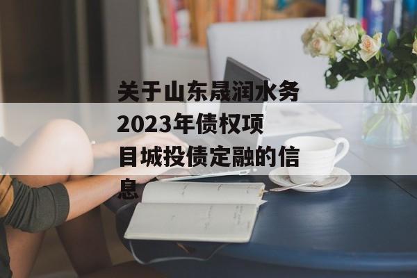 关于山东晟润水务2023年债权项目城投债定融的信息