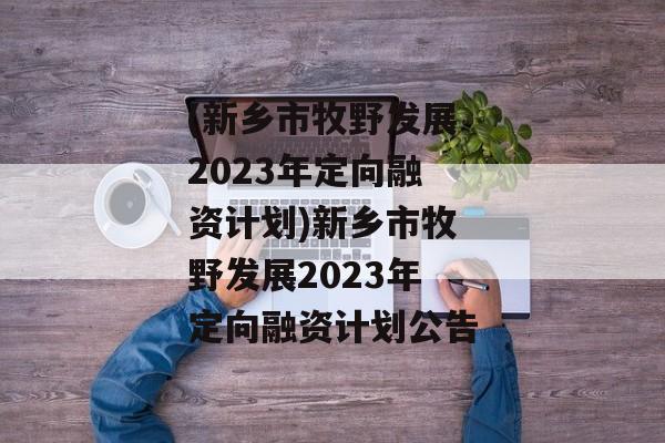 (新乡市牧野发展2023年定向融资计划)新乡市牧野发展2023年定向融资计划公告