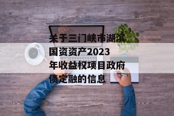 关于三门峡市湖滨国资资产2023年收益权项目政府债定融的信息