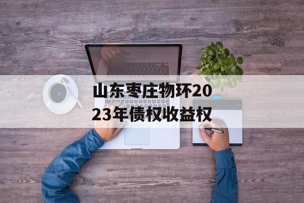 山东枣庄物环2023年债权收益权