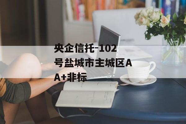 央企信托-102号盐城市主城区AA+非标