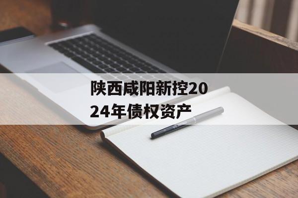 陕西咸阳新控2024年债权资产