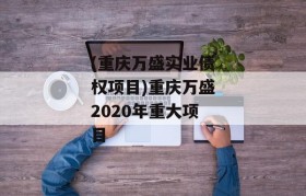 (重庆万盛实业债权项目)重庆万盛2020年重大项目