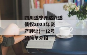 四川遂宁开达兴遂债权2023年资产转让(一)2号的简单介绍